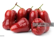 Manfaat Buah Jambu Air bagi Kesehatan