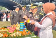 Penguatan TNI Harus Diimbangi Kompetensi dan Profesionalisme