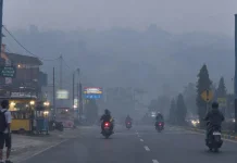 Kabut Asap Pekat Selimuti Jalanan Kota Manokwari Aktivitas Warga Mulai Terganggu