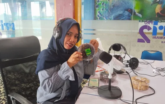 Peluang Menjadi Penyedia Solusi Langkah Awal ke Wirausahaan