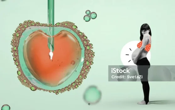 Mengenal Egg Freezing Teknologi Menyimpan Sel Telur