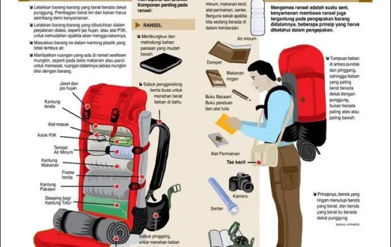 Manajemen packing carrier kunci perjalanan aman dan nyaman