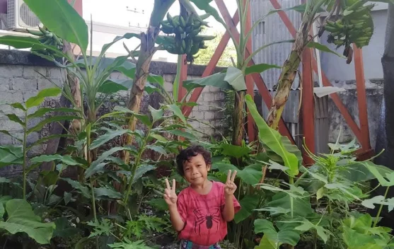 Pemanfaatan Pekarangan Rumah Dukung Program Astacita
