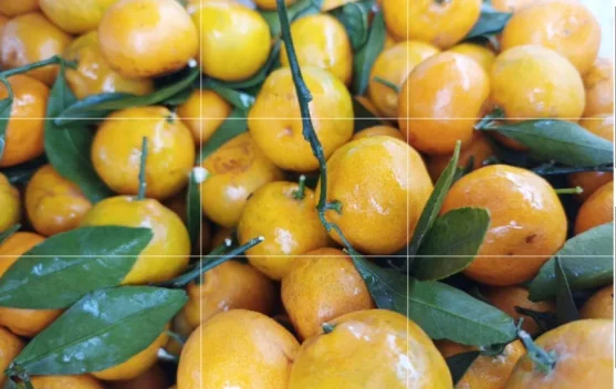 Himalaya, Rumah Pertama Buah Jeruk