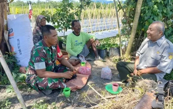 Gandeng Kepala BPP Terjun Kelahan Pertanian Babinsa Sambangi Petani