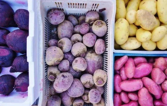 Ubi, Ube, dan Taro: Sama-sama Umbi, tapi Kenapa Rasanya Berbeda?