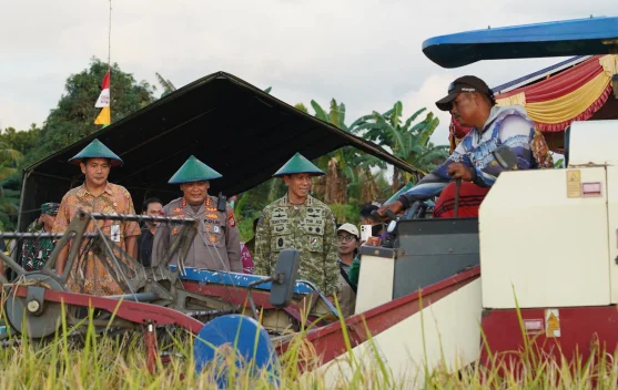 Pangdam XVIII/Kasuari Pimpin Panen Raya TNI Dukung Ketahanan Pangan Nasional