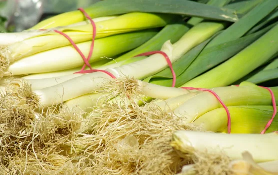 Beberapa Manfaat Daun Bawang untuk Kesehatan