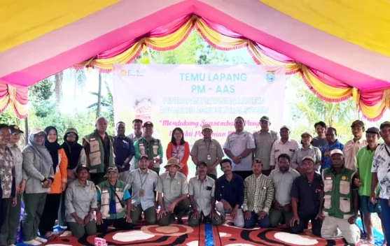 Teknologi Modern Bawa Panen Padi Prafi Tembus 10 Ton