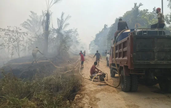 Kebakaran Lahan Sawit di Sumuri Mulai Terkendali, Aparat dan Warga Tetap Siaga