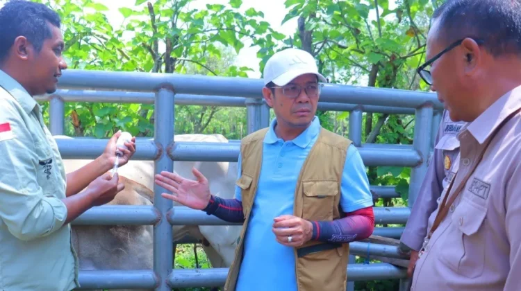 Biosekuriti yang Bagus Kunci Sukses Peternakan Dompu
