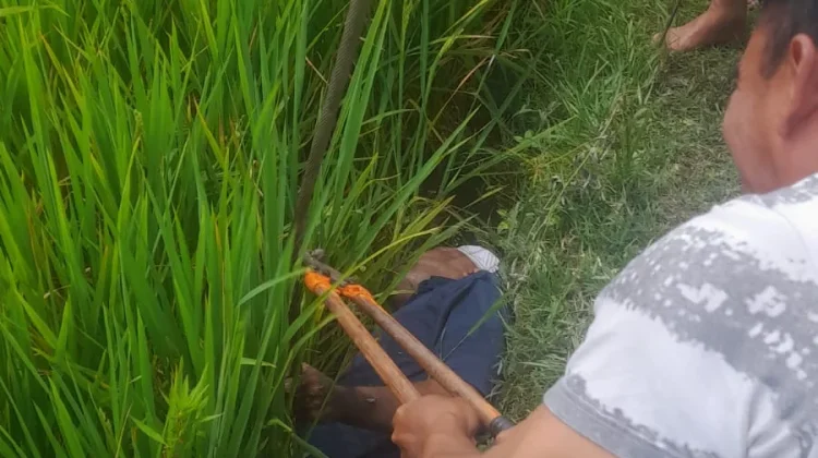 Polisi dan PLN Cek Jaringan Listrik usai Warga Bujak Tewas Tersengat Kabel Putus