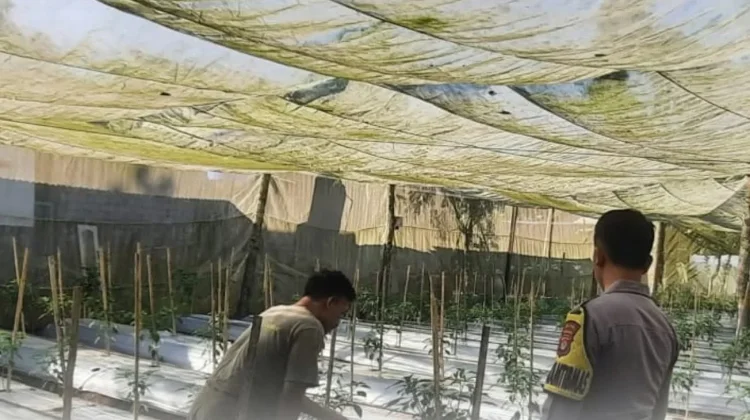 Kepolisian  Dukung Ketahanan Pangan Melalui Sambang Petani
