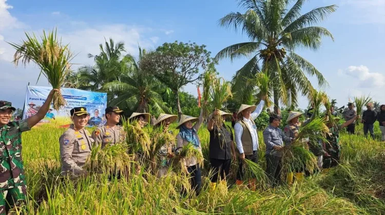 Ketahanan Pangan NTB Berpacu dari Produksi hingga Konsumsi