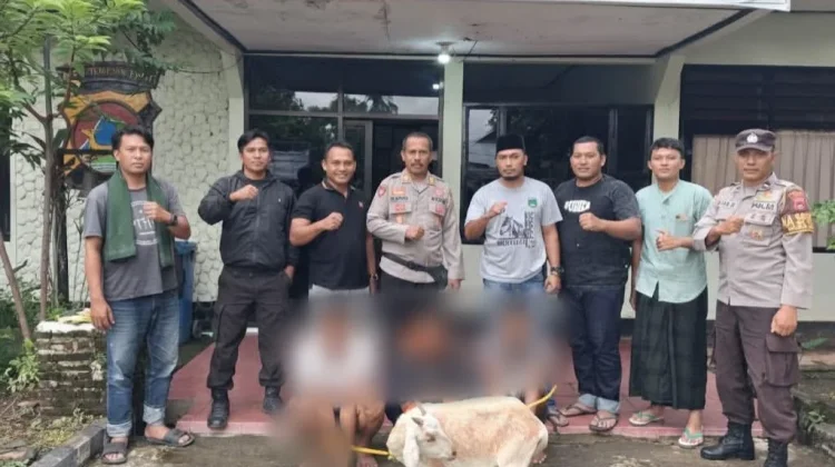 Polsek Bolo Ciduk Tiga Pelaku Pencurian Ternak