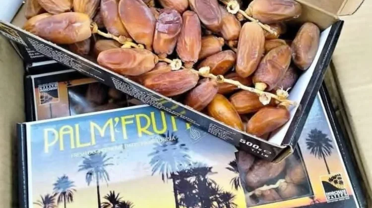 Kurma, Buah Penuh Manfaat dan Keistimewaan bagi Kesehatan