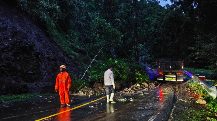 Petugas Gabungan Bersihkan Material Longsor di Jalur Pusuk Sembalun