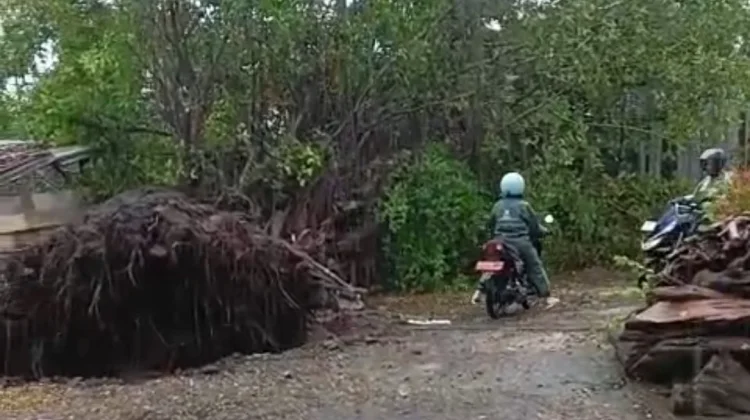 Cuaca Ekstrem Beberapa Hari di Lombok Timur, Ini Dampaknya