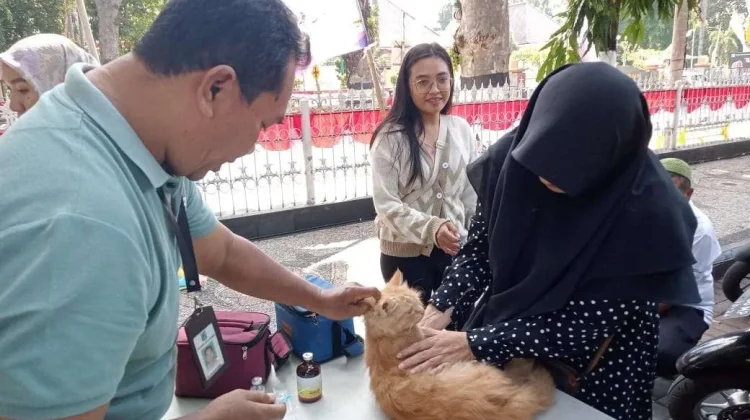 Vaksinasi HPR Jadi Andalan Cegah Ancaman Rabies