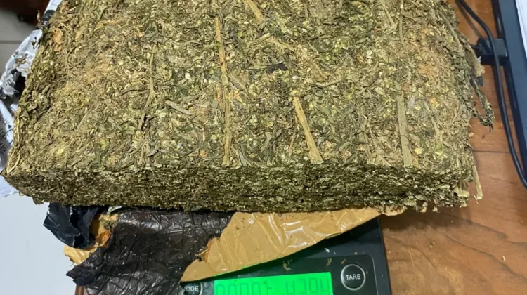 Polres Bima Kota Ungkap Peredaran Ganja 526,42 Gram, Lima Pengedar Diamankan