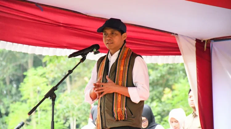 Menteri Kehutanan Ungkap Potensi Ribuan Hektar Hutan NTB