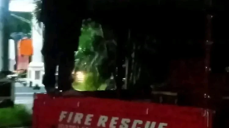 Damkar Lombok Tengah Evakuasi Musang Masuk Plafon Rumah Warga di Jelantik