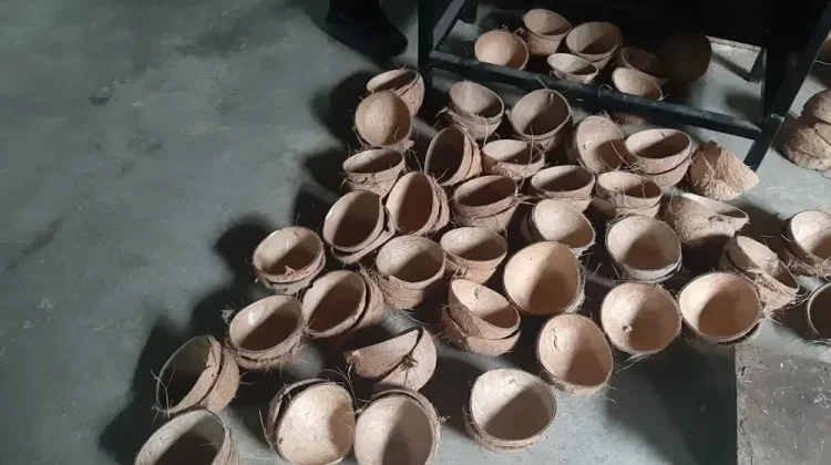 Dari Batok Kelapa ke Limbah Kayu, Lompatan Kreatif Lalu Surya Bakti