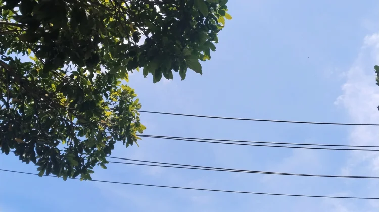 Bima-Dompu: Kondisi Cuaca Berawan dan Berpotensi Hujan