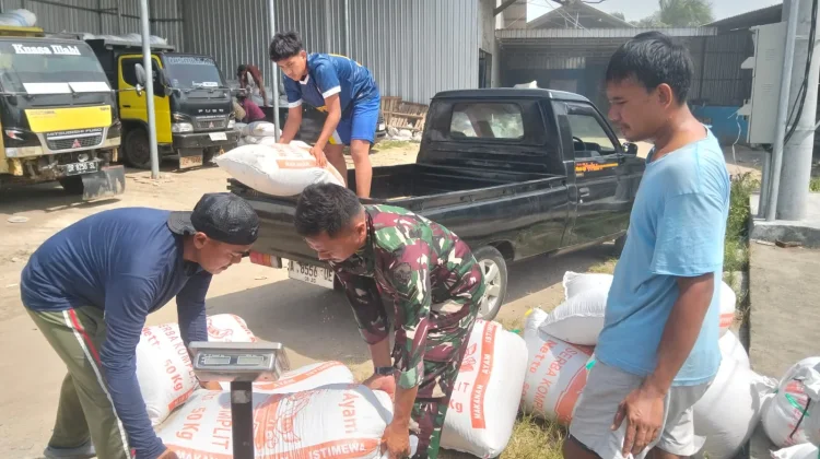 Serapan Gabah Petani di Lombok Tengah Terus Dikebut