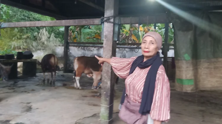 20 Tahun Terbengkalai Rumah Potong Hewan Lombok Barat Kian Memprihatinkan