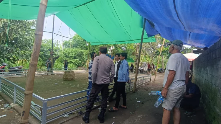 Sabung Ayam Ilegal di Kuripan Dibubarkan Polisi Secara Tegas