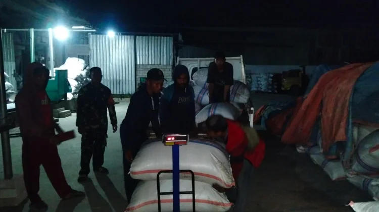 TNI Kawal Ketat Penyerapan Gabah Petani