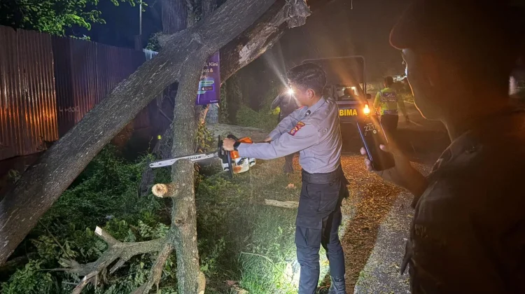 Respon Cepat Layanan 110, Polisi Evakuasi Pohon Tumbang di Jalur Utama Bima