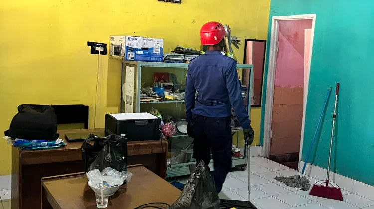 Damkarmat Lombok Timur Evakuasi Musang Masuk Kelas TK