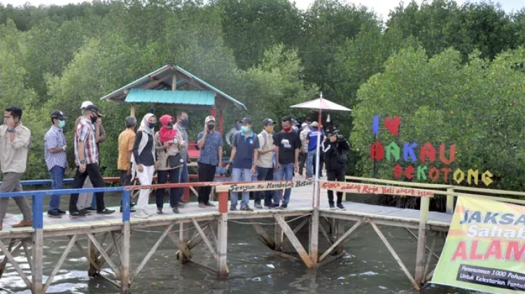 Tegakan Luar Kawasan Solusi Hutan Primer yang Terpinggirkan