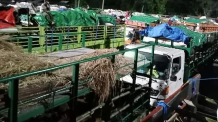 Permintaan Hewan Kurban Asal Dompu Melonjak, Pengiriman Tembus 7.250 Ekor ke Jabode