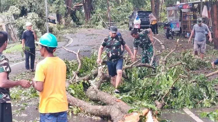 Angin Kencang 26 Rumah di Dompu Terdampak