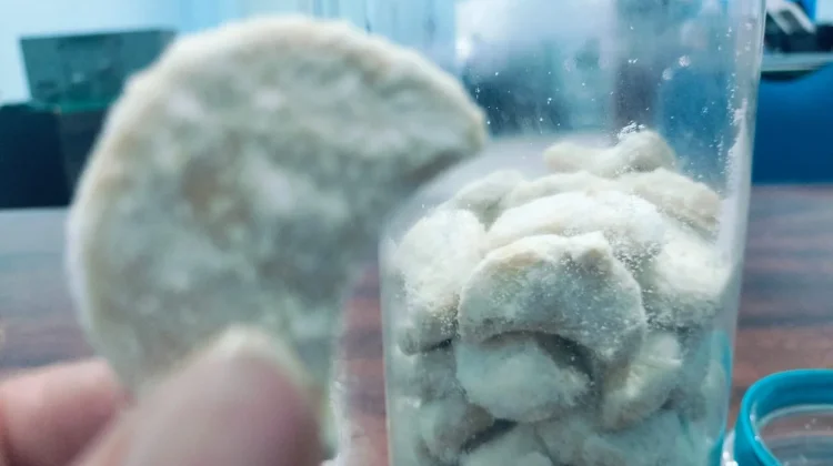 Kue Putri Salju, Warisan Eropa di Meja Lebaran