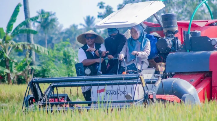 Bulog NTB Tancap Gas Serap Hasil Panen, Capai 29,26 Persen dari Target 2026