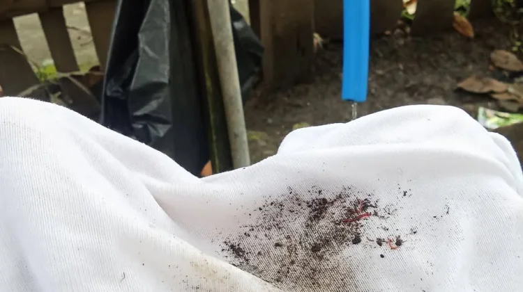 Produksi Air PDAM Dompu Berulat dan Berbau Menyengat