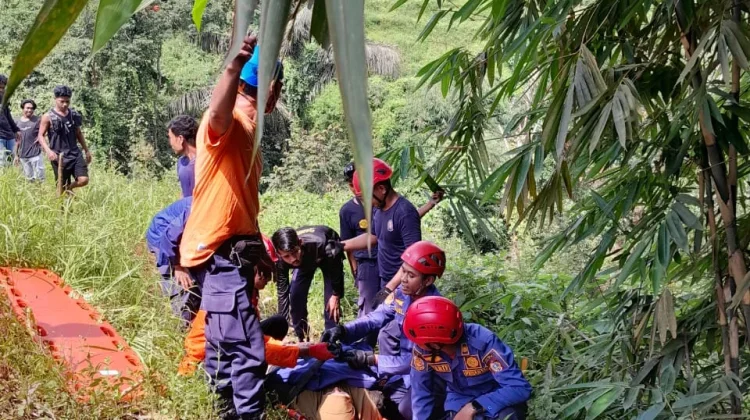Dua Warga Terjatuh di Jurang, Damkarmat Lombok Timur Sigap Evakuasi Korban