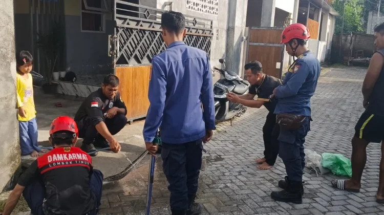 Berpotensi Membahayakan, Damkarmat Lombok Timur Evakuasi Ular dari Rumah Warga