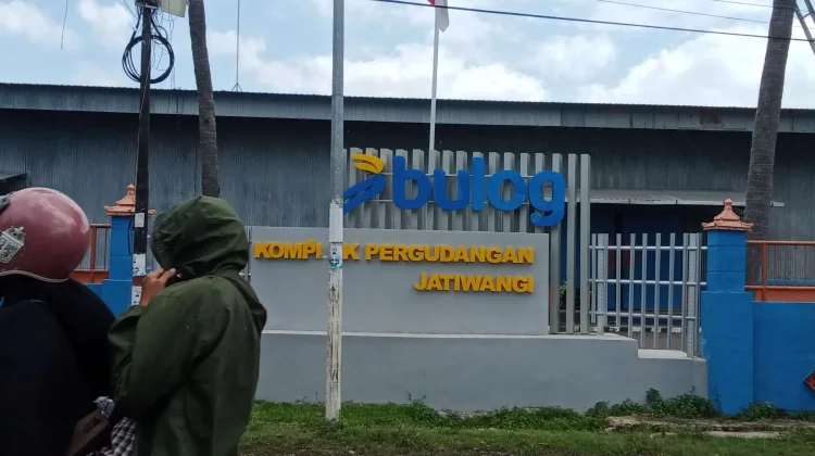 Petani Jagung di Bima Keluhkan Syarat Penjualan ke Bulog, Pilih Jual ke Tengkulak
