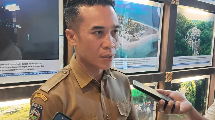 Perseroda Sumbawa, Revitalisasi atau Suntik Mati