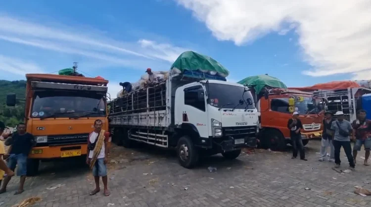 Balai Karantina NTB Pastikan Pengiriman Sapi Melalui Gili Mas Bebas Dari Pungli