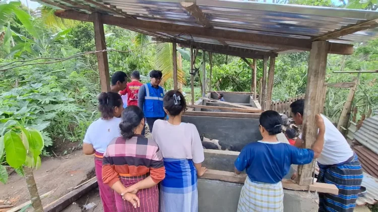 Perkuat Pemberdayaan Ekonomi Lokal, PLN Bantu Peternak