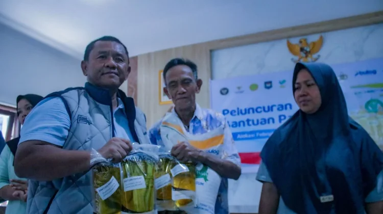 Bulog NTB Salurkan 1,67 Juta Liter Minyak Kita, Distribusi Pasar SP2KP Tuntas