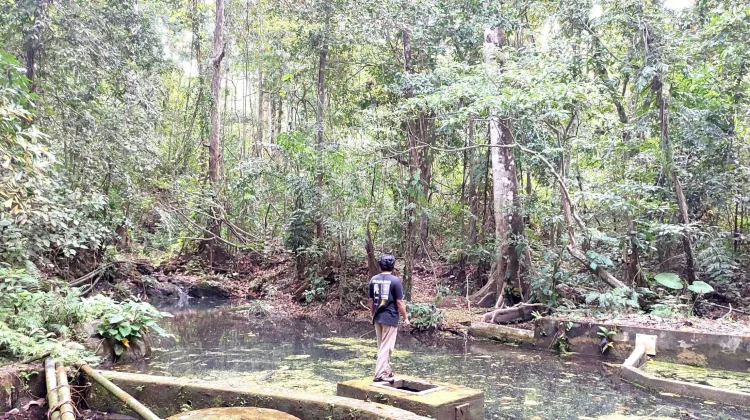 Tumpang Sari Jaga Hutan Tetap Lestari