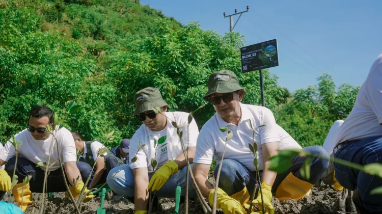ITDC Perkuat Green Mandalika, 15 Ribu Mangrove Ditanam di KEK Mandalika
