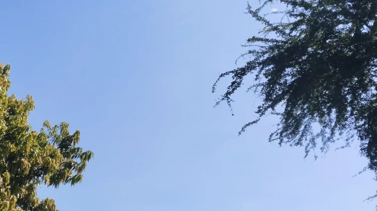 Cuaca Cerah Berawan dan Potensi Hujan Masih Terjadi